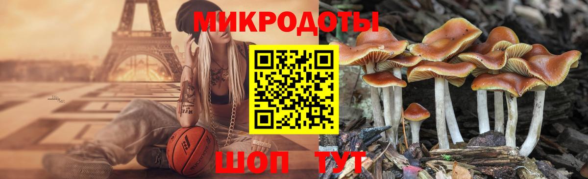 Миасс  купить наркотик  Вход с VPN  Псилоцибиновые грибы GOLDEN TEACHER 